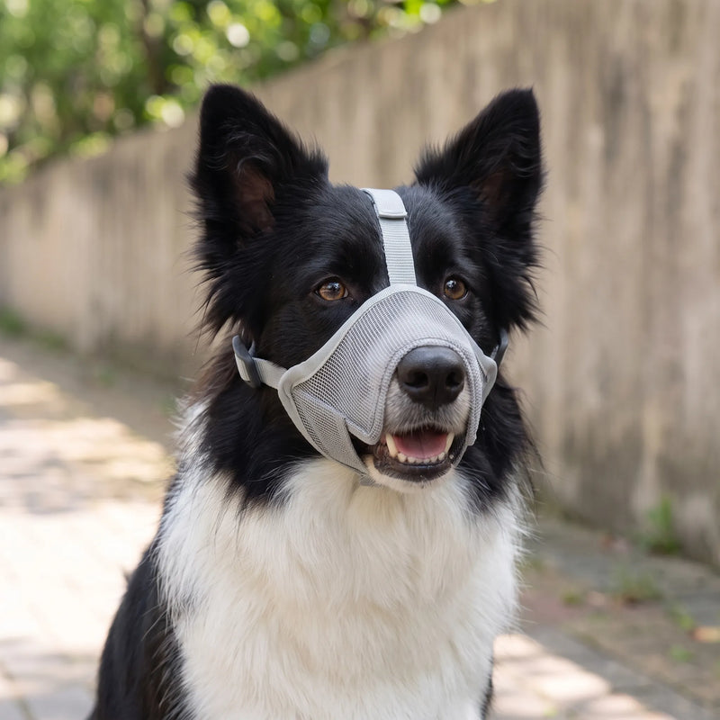 AeroSnout  - Flexible Dog Muzzle For Daily Use Travelling On Buses
