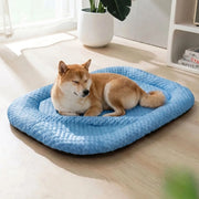 PawsCool  - Textured Cooling Dog Bed Resting On Warm Days